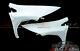 Honda Civic FN2 Type R Mugen Style Front Fenders Pair